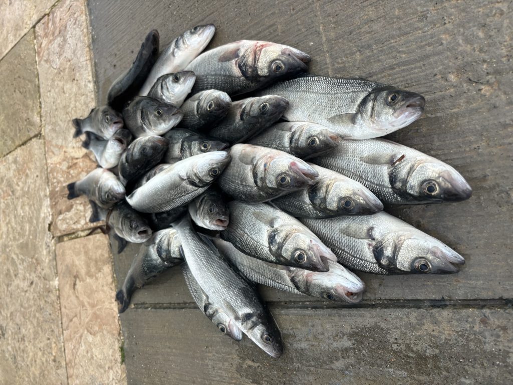 Рыбалка на Кипре