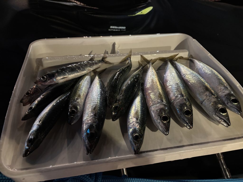 Рыбалка на Кипре