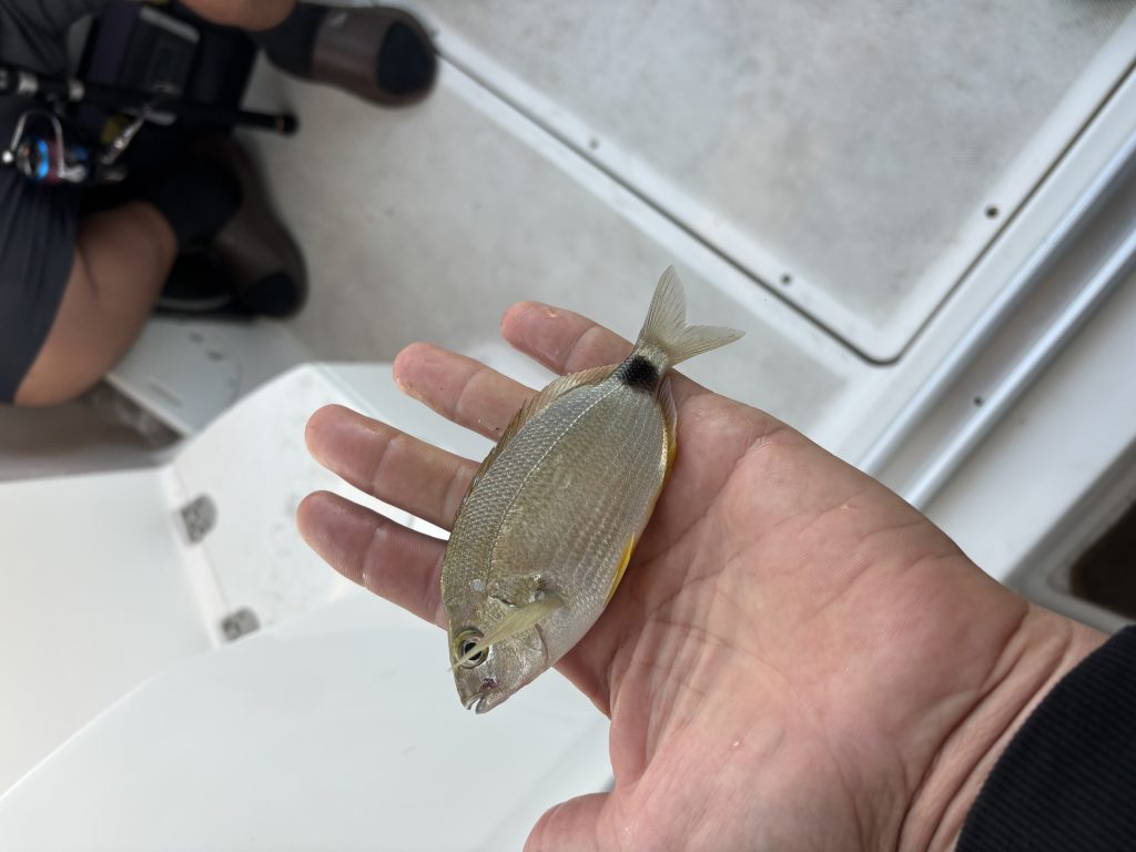 Рыбалка на Кипре