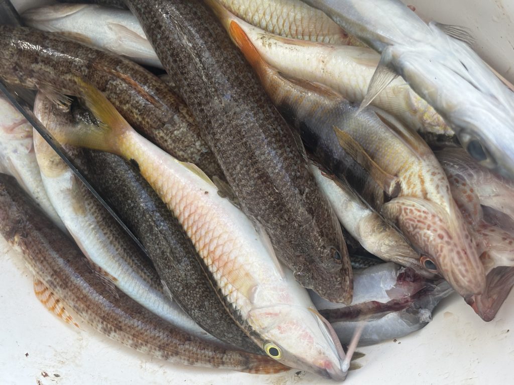 Рыбалка на Кипре