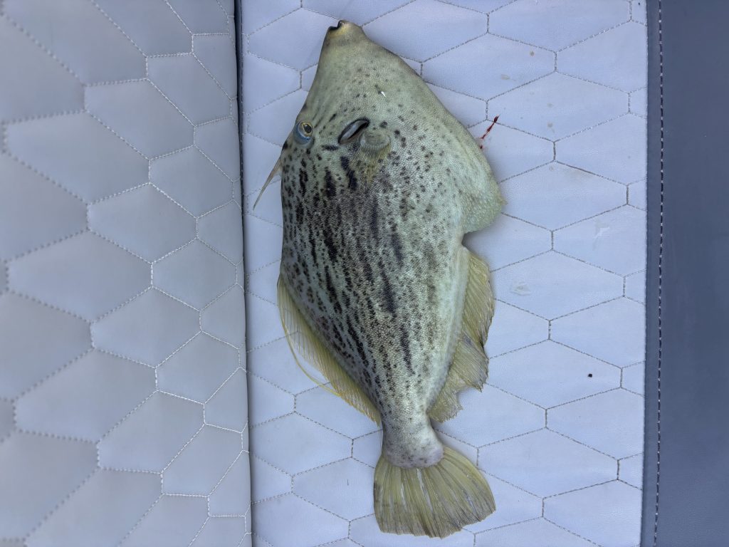 Рыбалка на Кипре