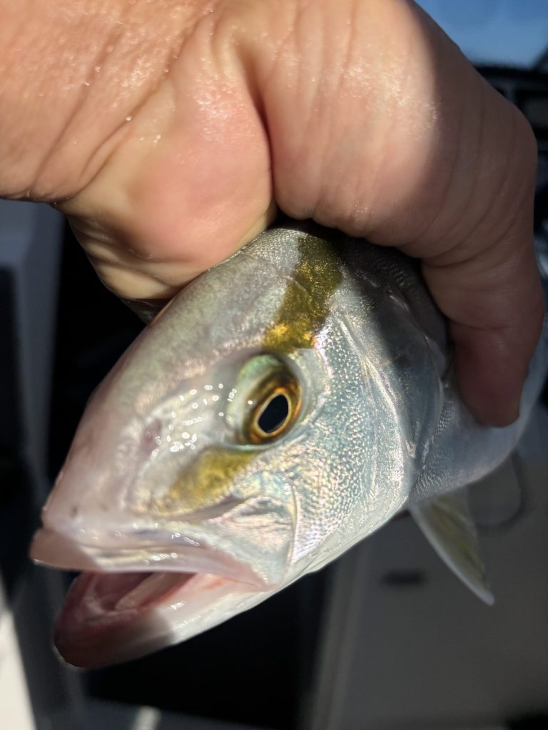 Рыбалка на Кипре