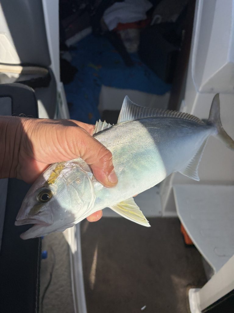 Рыбалка на Кипре